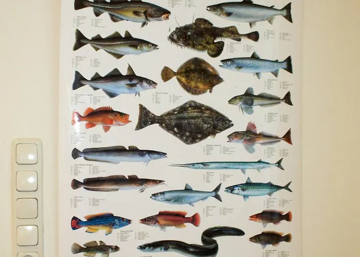 Historic Farm With Space For Large Groups * Wangels